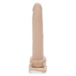 Image de Accommodator Dual Penetrator - Ivory