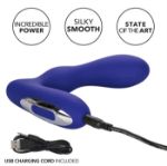 Image de Silicone Wireless Pleasure Probe - Blue