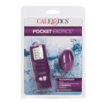 Image de Pocket Exotics Waterproof Egg - Purple