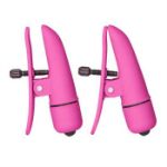 Image de Nipple Play Nipplettes Pink