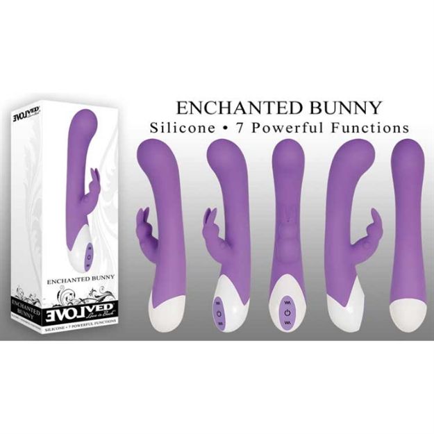 Image de ENCHANTED BUNNY